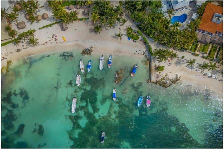 Tulum Ruins, Turtles in Akumal and Cenote tour